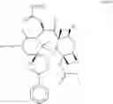 Fig. 29 - Taxane metabolites