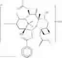 Fig. 30 - Taxane metabolites