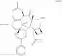 Fig. 31 - Taxane metabolites