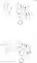 Fig. 33 - Taxane metabolites