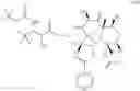 Fig. 40 - Taxane metabolites