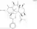 Fig. 41 - Taxane metabolites