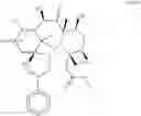 Fig. 42 - Taxane metabolites