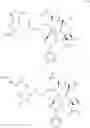 Fig. 45 - Taxane metabolites