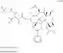 Fig. 46 - Taxane metabolites