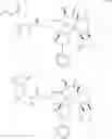 Fig. 50 - Taxane metabolites