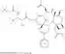 Fig. 57 - Taxane metabolites