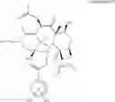 Fig. 60 - Taxane metabolites