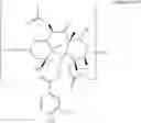 Fig. 63 - Taxane metabolites