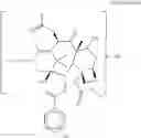 Fig. 64 - Taxane metabolites
