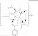Fig. 65 - Taxane metabolites
