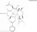 Fig. 66 - Taxane metabolites