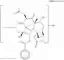 Fig. 67 - Taxane metabolites