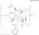 Fig. 69 - Taxane metabolites