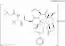 Fig. 70 - Taxane metabolites
