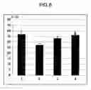 Fig. 07 - Therapeutic or preventive agents for ischemic neuropathy