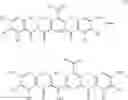 Fig. 32 - Therapeutic or preventive agents for ischemic neuropathy