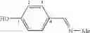 Fig. 24 - Dendritic polymers having biphosphonic terminations, derivatives thereof, method for preparing them, and their use