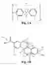 Fig. 02 - Vector directional polymer systems and methods of nano-structural self assembly