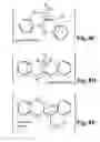 Fig. 09 - Vector directional polymer systems and methods of nano-structural self assembly