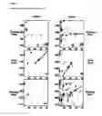 Fig. 06 - TAT- 001 and methods of assessing and treating cancer