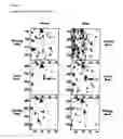 Fig. 07 - TAT- 001 and methods of assessing and treating cancer