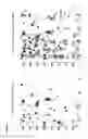 Fig. 09 - TAT- 001 and methods of assessing and treating cancer