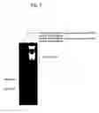 Fig. 04 - Methods for nucleic acid isolation and instruments for nucleic acid isolation