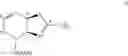 Fig. 24 - Synthesis of substituted heterocyclic compounds