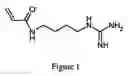 Fig. 02 - Method for synthesis of acrylamide derivatives