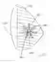 Fig. 35 - Brachytherapy apparatus and methods for using them
