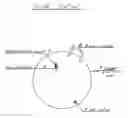 Fig. 01 - Sexercise ball