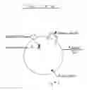 Fig. 02 - Sexercise ball