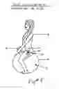 Fig. 06 - Sexercise ball