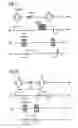 Fig. 07 - Method and apparatus for magnetic resonance imaging on the basis of a gradient echo sequence