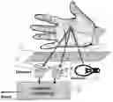 Fig. 01 - Skin detection sensor