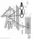 Fig. 03 - Skin detection sensor