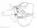 Fig. 01 - Biofidelic shoulder brace