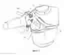 Fig. 02 - Biofidelic shoulder brace