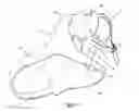 Fig. 07 - Biofidelic shoulder brace