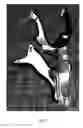 Fig. 11 - Traction collar and method of use