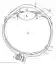 Fig. 01 - Implantable pump apparatuses