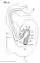 Fig. 08 - Gastrointestinal applicator and method of using same