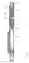 Fig. 02 - Device for administering an injectable product with a lockable dose metering mechanism