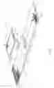 Fig. 02 - Body conforming textile holder and absorbent article