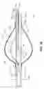 Fig. 08 - Retrograde pressure regulated infusion