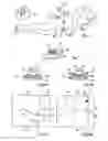 Fig. 04 - Determination of the position of an anatomical element