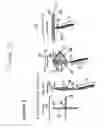 Fig. 09 - Ablation catheters