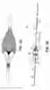 Fig. 20 - Embolic protection device
