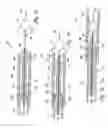Fig. 11 - Intravascular filter retrieval device having an actuatable dilator tip